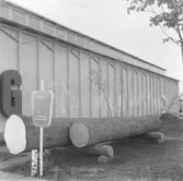 Skogsbruket på Gävleutställningen sommaren 1946 vid Travbanan och Folkparken med anledning av Gävle stads 500-årsjubileum

