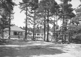 Gävleutställningen 1946.

Med anledning av Gävles 500-årsjubileum anordnades en utställning som pågick 21 juni - 4 augusti.
På 350.000 kvadratmeter visade 530 utställare sina produkter