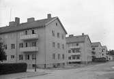 Reportage för Norrlandsposten
Hantverkargatan och Kaplansgatan

Husen stod färdig 1946

