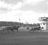 Travbanan

Juni 1948



