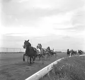 Travbanan

Juni 1948



