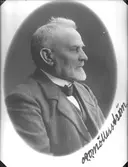 Doktor Möllerström