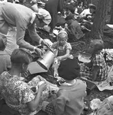 Barnutflykt till Årsunda