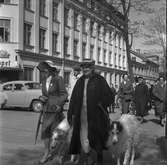 Hattparad på Nygatan. 23 maj 1954.

