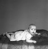 Christoffersson, Femte Tvärgatan 19 A, Gävle.           30 september 1955
