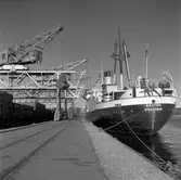 Från hamnen. Hamnstyrelsen. 15 oktober 1956.