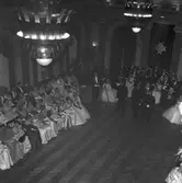 Innocenebalen i stadshuset. 10 november 1956.
