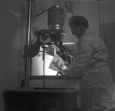 Fotograf Berglund, i det nya pressrummet på Arbetarbladet. 6 september 1948.