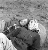 Potatisplockning. Hille Flickskolans elever. 25 september 1948.