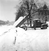 Vinterbilder. 12 januari 1950.