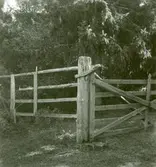 Grind i Haget i Böda.