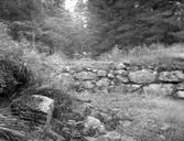 Från Ryd i Vilske-Kleva, ruin efter jordkula.