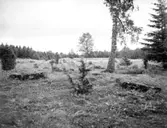 Jäla Tolarp Ambjörnstorp.