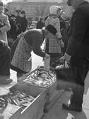 Fiskhandel på Stortorget. Den 10 april 1943