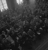 N.T.O. Heimdals Riksstämma . Den 25 Juni 1946