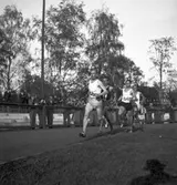 Reportage för Gefle Dagblad. Idrottstävling på Strömvallen



