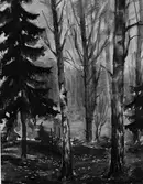 R. Kjällander från 1942. Tavla

