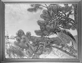 Tavla av Herr Lindfors

