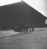 Bandylandskamp Sverige - Norge på Strömvallen.  Reportage för Gefle Dagblad
