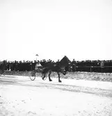 År 1937. Gefle-Dala Travbana. Häst. Reportage för Gefle Dagblad