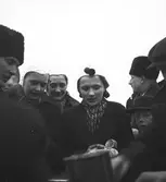 År 1937. Gefle-Dala Travbana. Reportage för Gefle Dagblad
