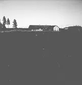 Lantbruksreportage för Norrlands-Posten

