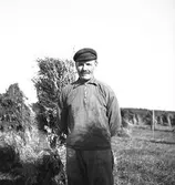 Lantbruksreportage för Norrlands-Posten

