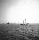 År 1938. Norrlandsregattan. Segelbåt. Reportage för Gefle Dagblad.