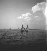 År 1938. Norrlandsregattan. Segelbåt. Reportage för Gefle Dagblad.