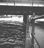 Mars 1938. Stormfällning. Reportage för Gefle Dagblad
