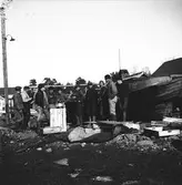 Mars 1938. Stormfällning. Reportage för Gefle Dagblad
