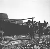 Mars 1938. Stormfällning. Reportage för Gefle Dagblad
