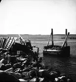 Mars 1938. Stormfällning. Reportage för Gefle Dagblad
