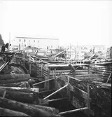 Nybygge. Reportage för Gefle Dagblad
