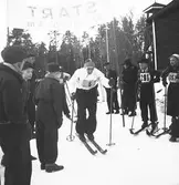 Februari 1938. Fettisdagstävling skidåkning.