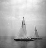 År 1938. Norrlandsregattan. Reportage för Gefle Dagblad