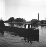 År 1938. Danskt Flottbesök. Inre hamnen. Reportage för Gefle Dagblad