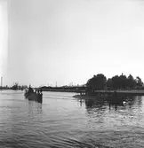 År 1938. Danskt Flottbesök. Inre hamnen. Reportage för Gefle Dagblad