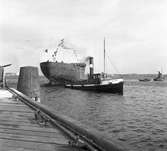 Gävle Varv. Stapelavlöpning. 8 januari 1957. Gävle Varv anlades 1873. Efter en konkurs 1921 bildades Gefle Varfvs och Verkstads Nya AB, som tillverkade oljecisterner och utrustningar till pappersmassefabriker. På 1940-talet återupptogs skeppsbyggeriet. På 1950-talet, då Korsnäs AB ägde varvet byggdes flera högsjöfartyg. I början av 1960-talet byggde varvet den ponton som regalskeppet Wasa skulle placeras på vid bärjningen.




