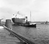 Gävle Varv. Stapelavlöpning. 8 januari 1957. Gävle Varv anlades 1873. Efter en konkurs 1921 bildades Gefle Varfvs och Verkstads Nya AB, som tillverkade oljecisterner och utrustningar till pappersmassefabriker. På 1940-talet återupptogs skeppsbyggeriet. På 1950-talet, då Korsnäs AB ägde varvet byggdes flera högsjöfartyg. I början av 1960-talet byggde varvet den ponton som regalskeppet Wasa skulle placeras på vid bärjningen.




