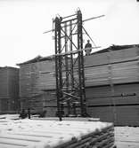 Brädgård. Skutskär sågverk, 25 februari 1946.