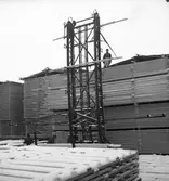 Brädgård. Skutskär sågverk, 25 februari 1946.