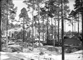 Nybygge, 1946.