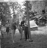 KFUM:s sommarhem, Kvistrum, Aludden 31. år 1949. Kristliga Föreningen av Unga Män. Föreningen bildades i Sverige 1884. Reportage för Gefle Dagblad.