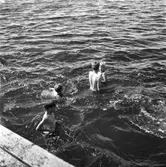 KFUM:s sommarhem, Kvistrum, Aludden 31. år 1949. Kristliga Föreningen av Unga Män. Föreningen bildades i Sverige 1884. Reportage för Gefle Dagblad.