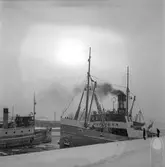 Bärgningsfartyget Poseidon. 2 mars 1949.