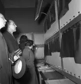 Lasarettet, utlänska läkare på besök, 24 april 1949.