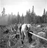 Brand i Forsbacka. Maj 1949.
