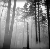 Brand i Forsbacka. Maj 1949.
