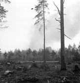 Brand i Forsbacka. Maj 1949.
